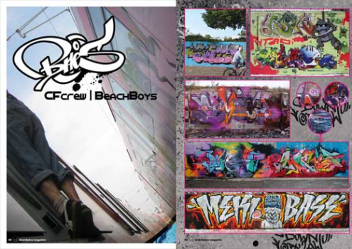 Downbylaw Magazine #6